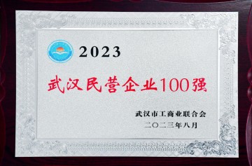 2023武汉民营企业100强</br>第45位-武汉市工商联